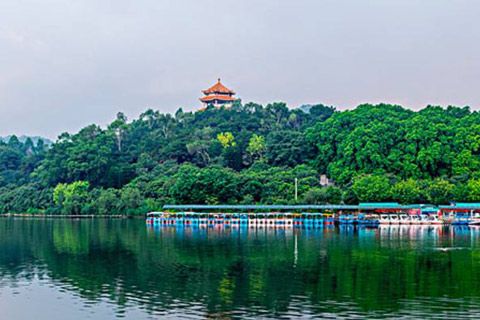 網站(zhàn)頁面設計(jì)的基本準則有哪些需要了解的？